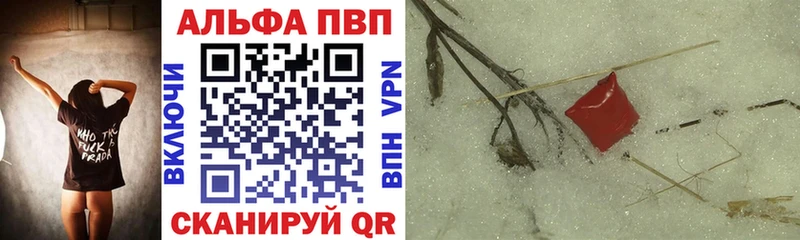 МЕФ Полярные Зори