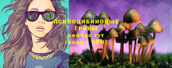 винт Армянск