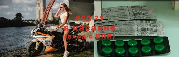 винт Армянск